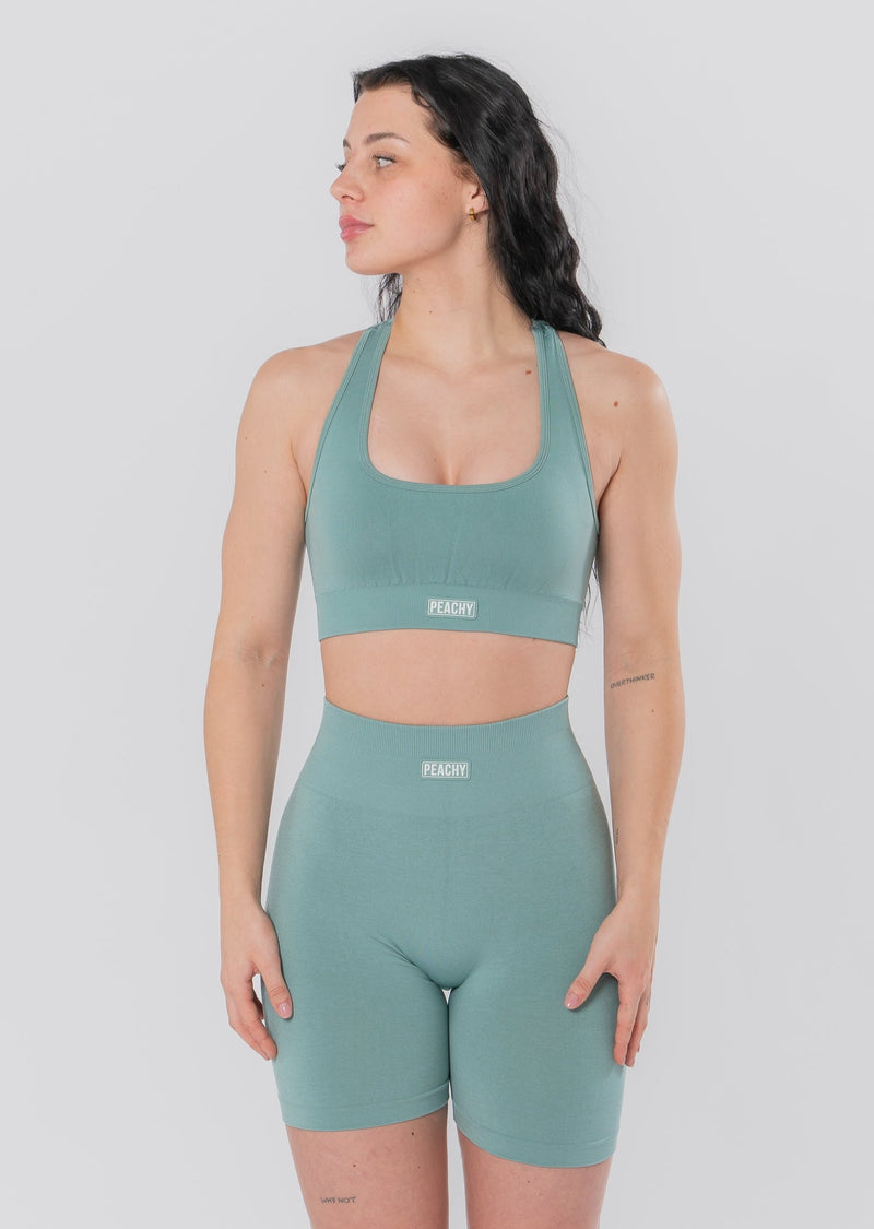 SCULPT 2.0 sports bra