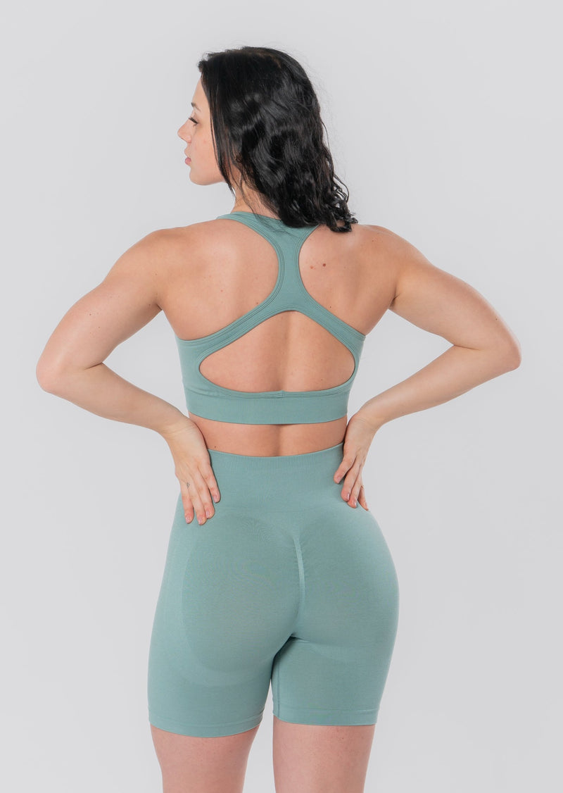 SCULPT 2.0 sports bra