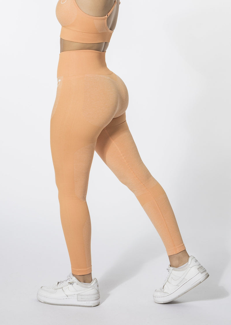 Leggings sans couture Kontour [LASTCHANCE]