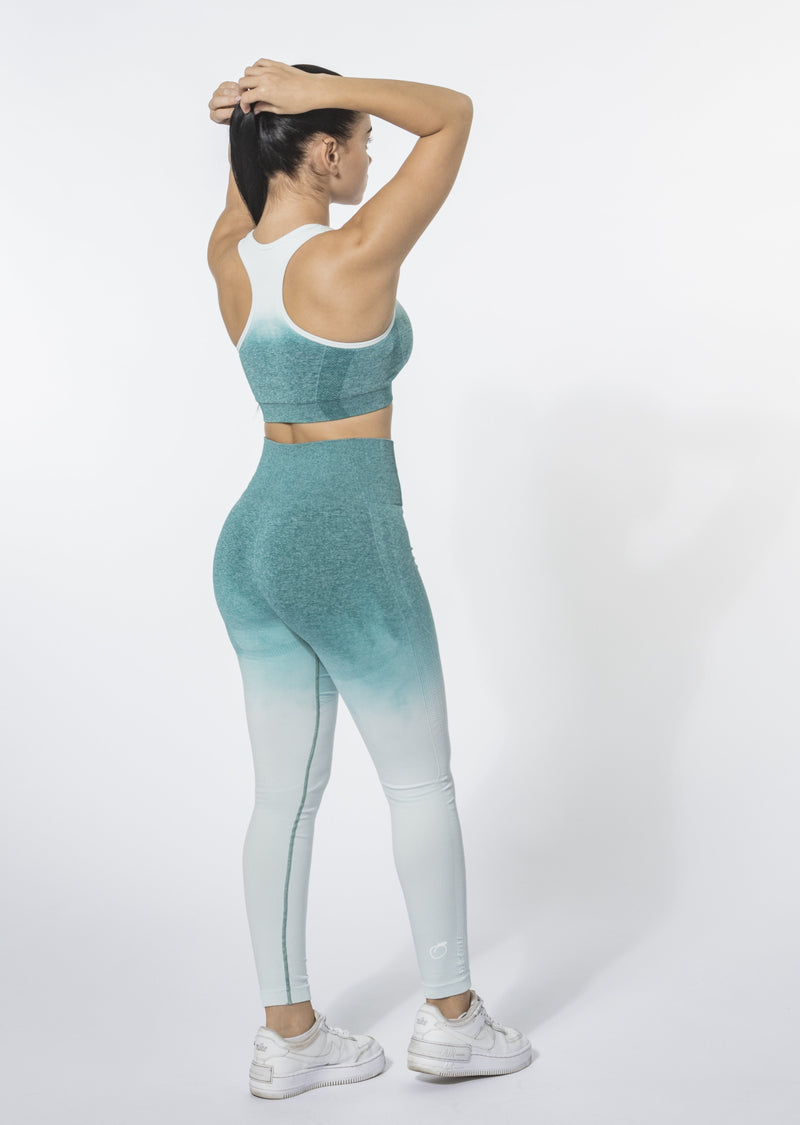 Ombre Set (Leggings and Sports Bra)