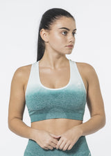 Ombre Sports Bra [LAST CHANCE]