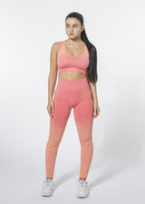 Ombre Set (Leggings and Sports Bra)
