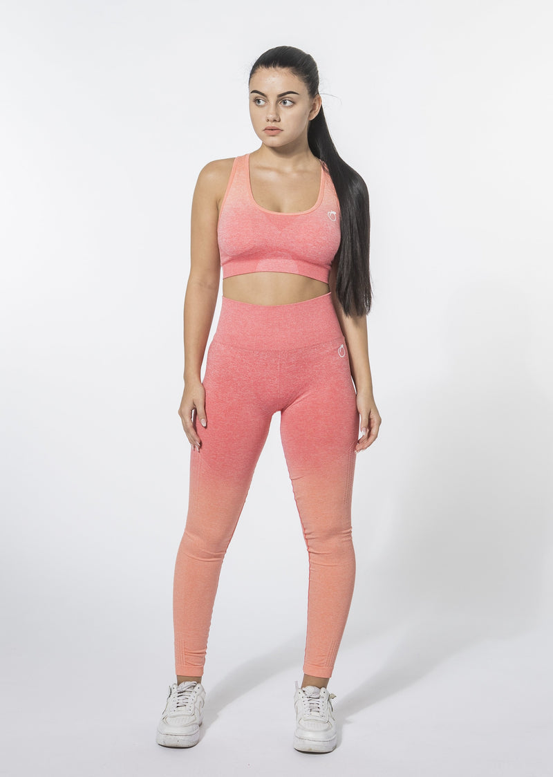 Ombre Set (Leggings and Sports Bra)