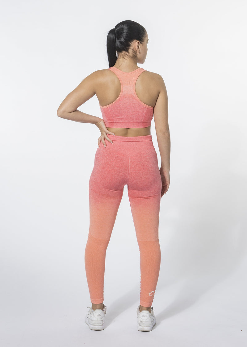 Ombre Set (Leggings and Sports Bra)