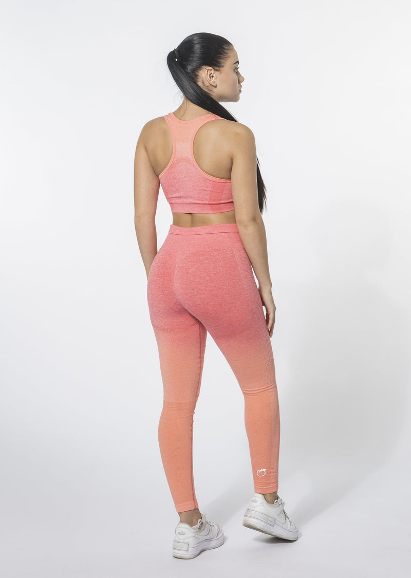Ombre Set (Leggings and Sports Bra)