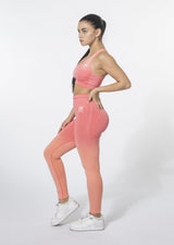 Ombre Set (Leggings and Sports Bra)
