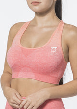 Ombre Sports Bra [LAST CHANCE]