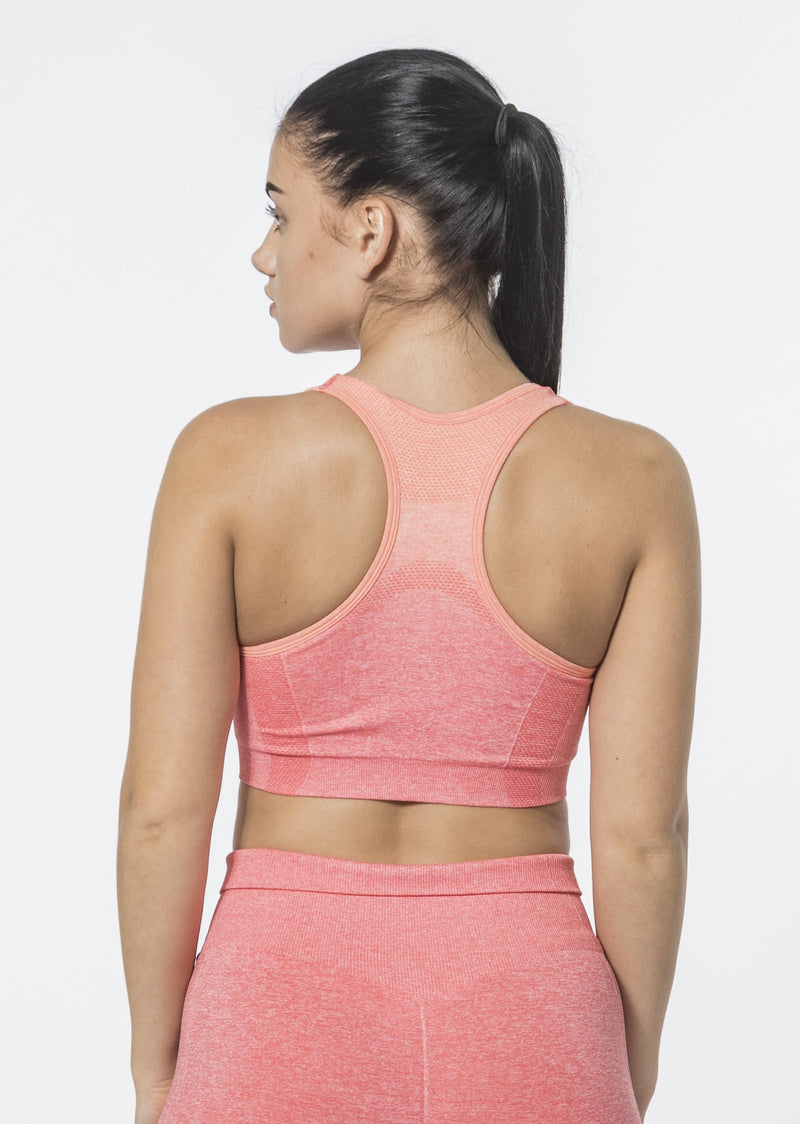 Ombre Sports Bra [LAST CHANCE]