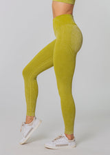 LEGACY Seamless Leggings [Info in Beschreibung beachten!]