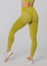 LEGACY Seamless Leggings [Info in Beschreibung beachten!]