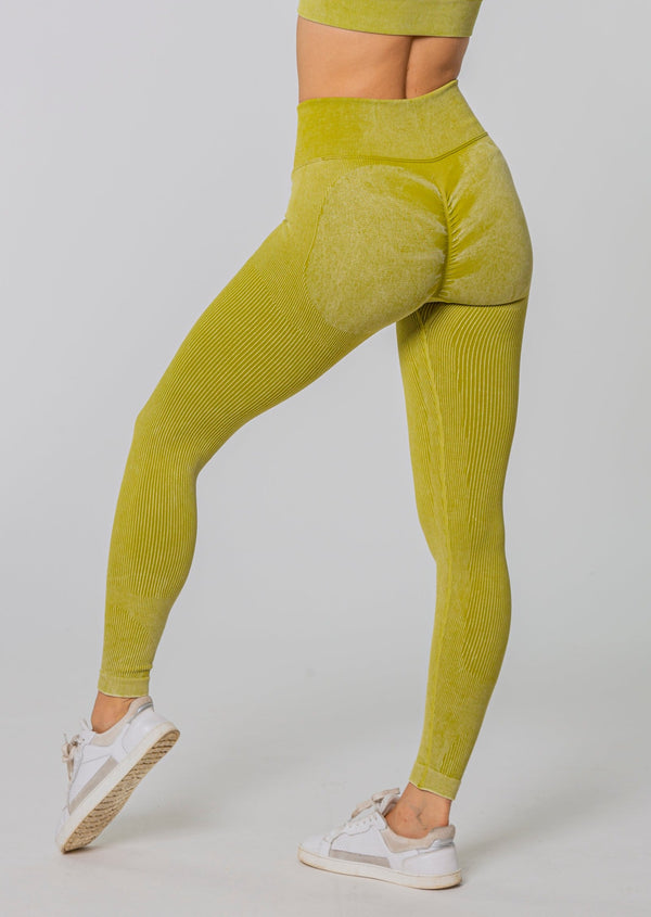 LEGACY Seamless Leggings [Info in Beschreibung beachten!]