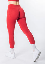 ALIGN Sculpting Leggings