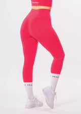 Performance 2.0 Leggings