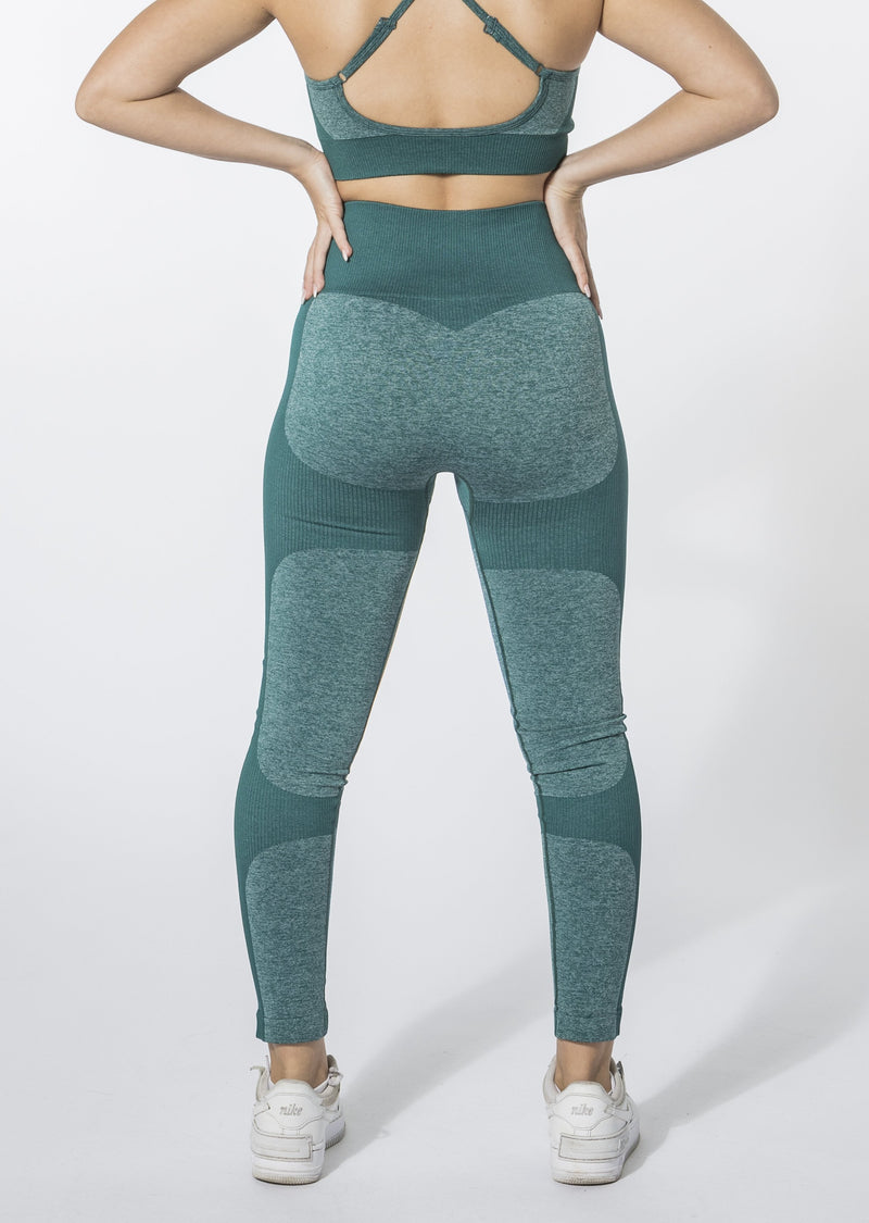 Leggings senza cuciture Contour [ULTIMA POSSIBILITÀ]