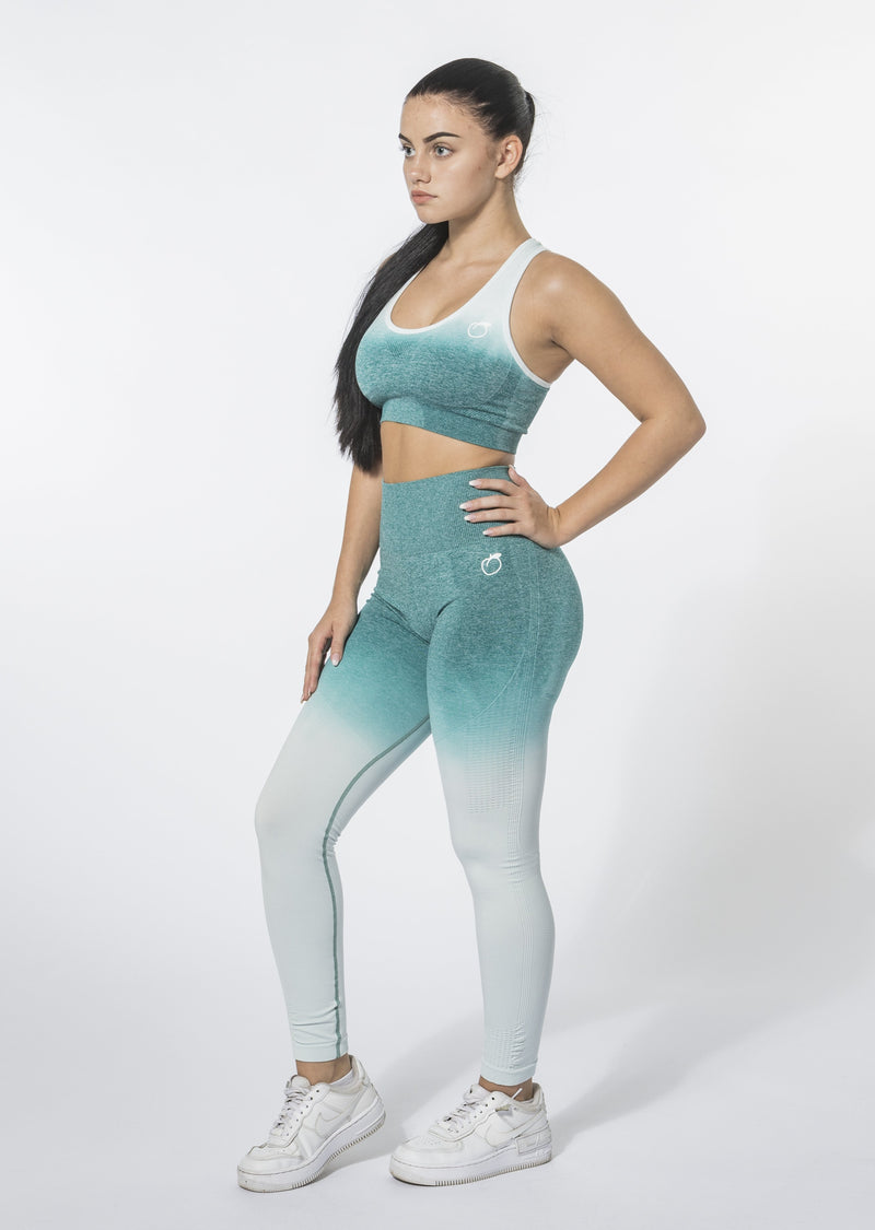 Set Ombre (leggings e reggiseno sportivo)