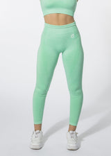 ACTIVE Seamless Leggings