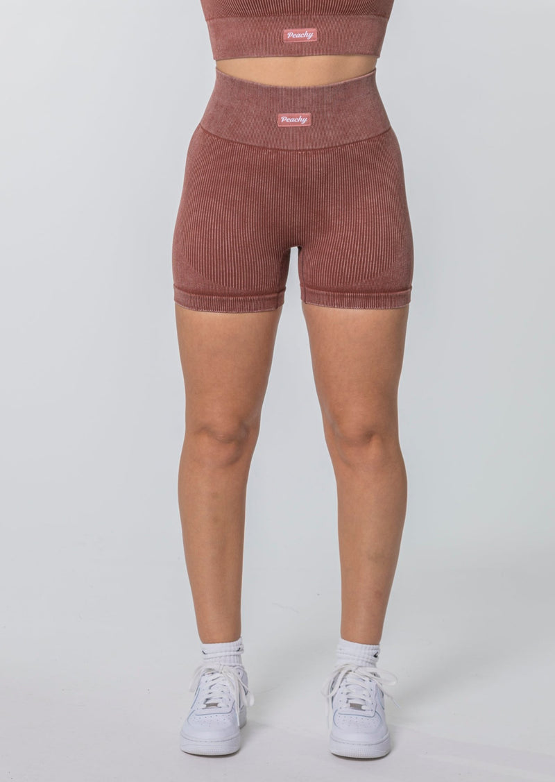 [LASTCHANCE] AURORA Seamless Shorts