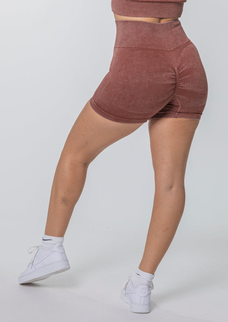 [LASTCHANCE] AURORA Seamless Shorts