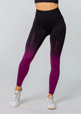 [LASTCHANCE] SPEED Seamless Leggings